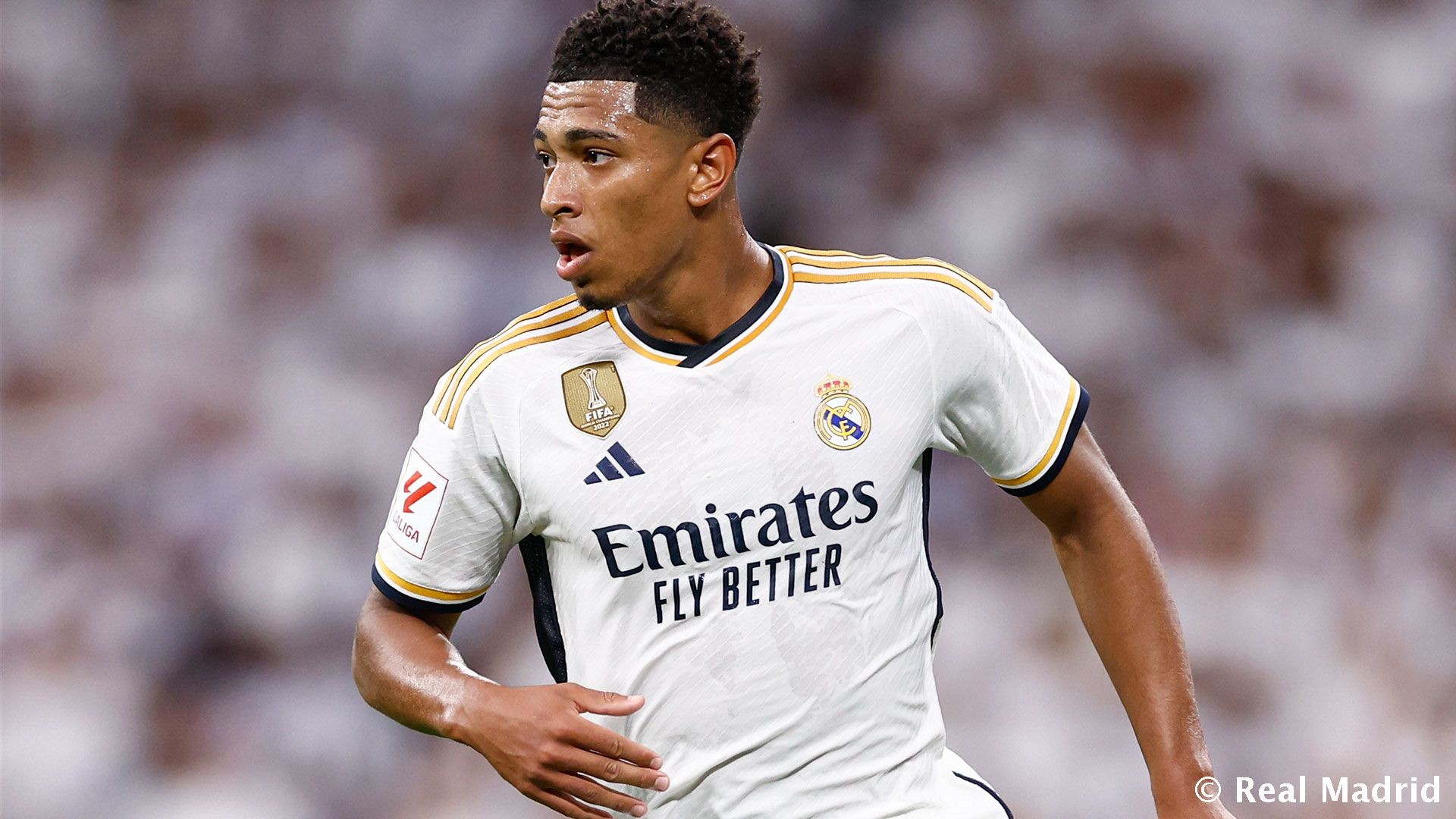 欧洲杯各队备战训练情况报道（欧洲杯参赛球队备战训练速报）